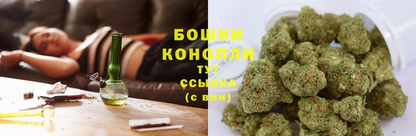 бошки Вязьма
