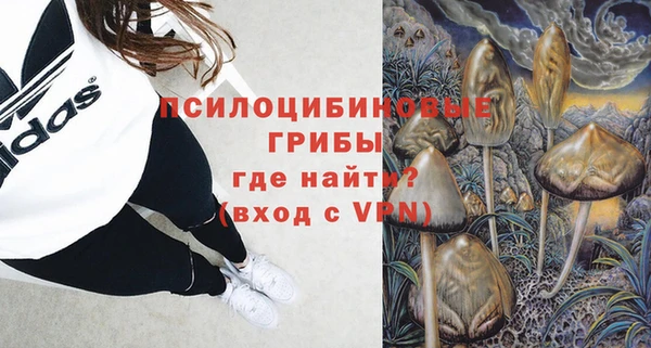бошки Вязьма
