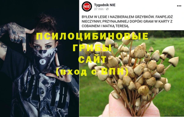 а пвп мука Горняк